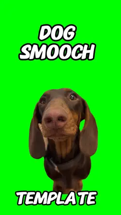 Dog Smooch
