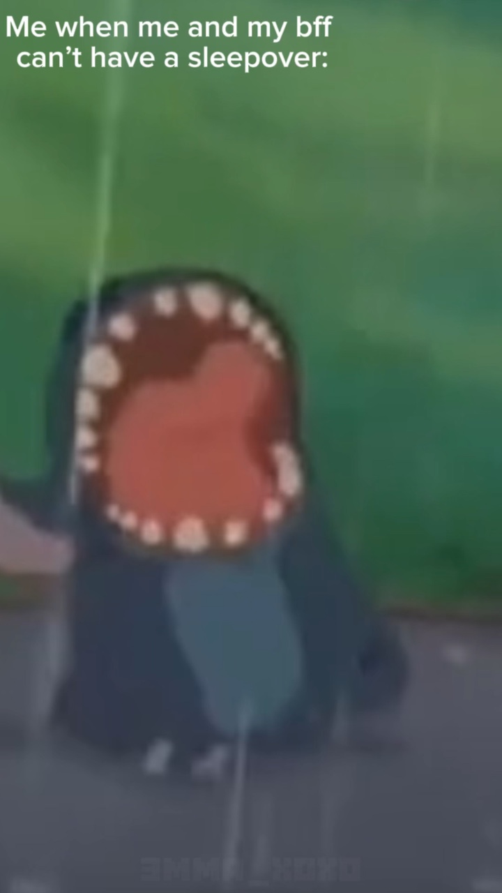 Stitch meme