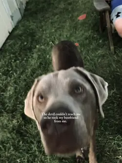 My sweet boy