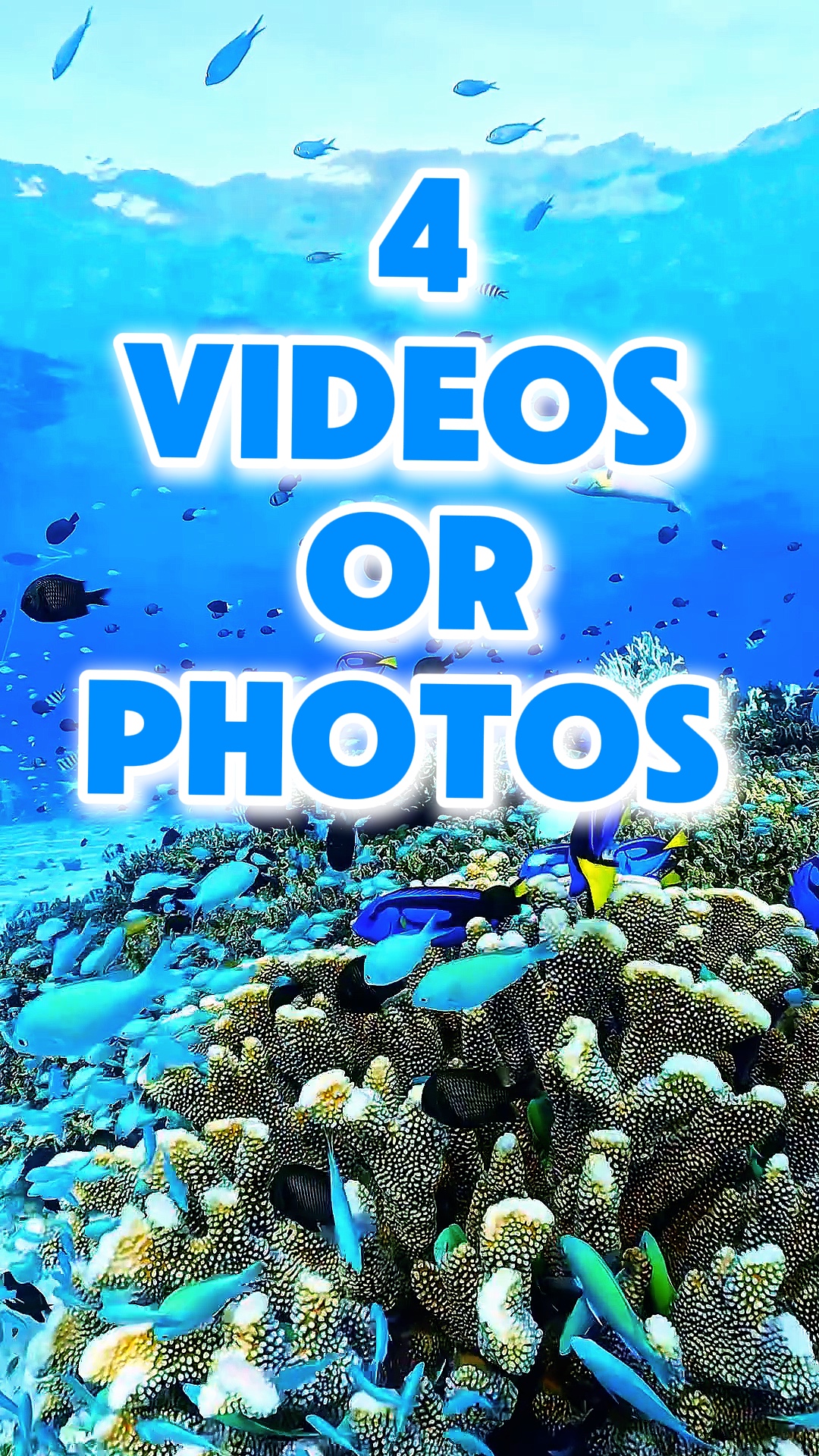 4 vlog video 