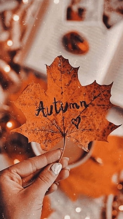 Herbsttage 🍁
