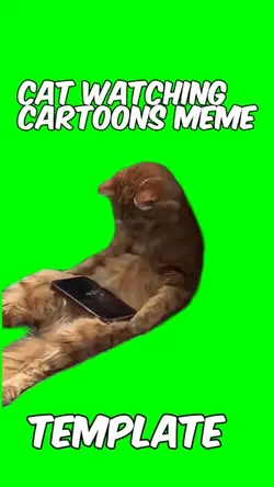 Cat watching tv 