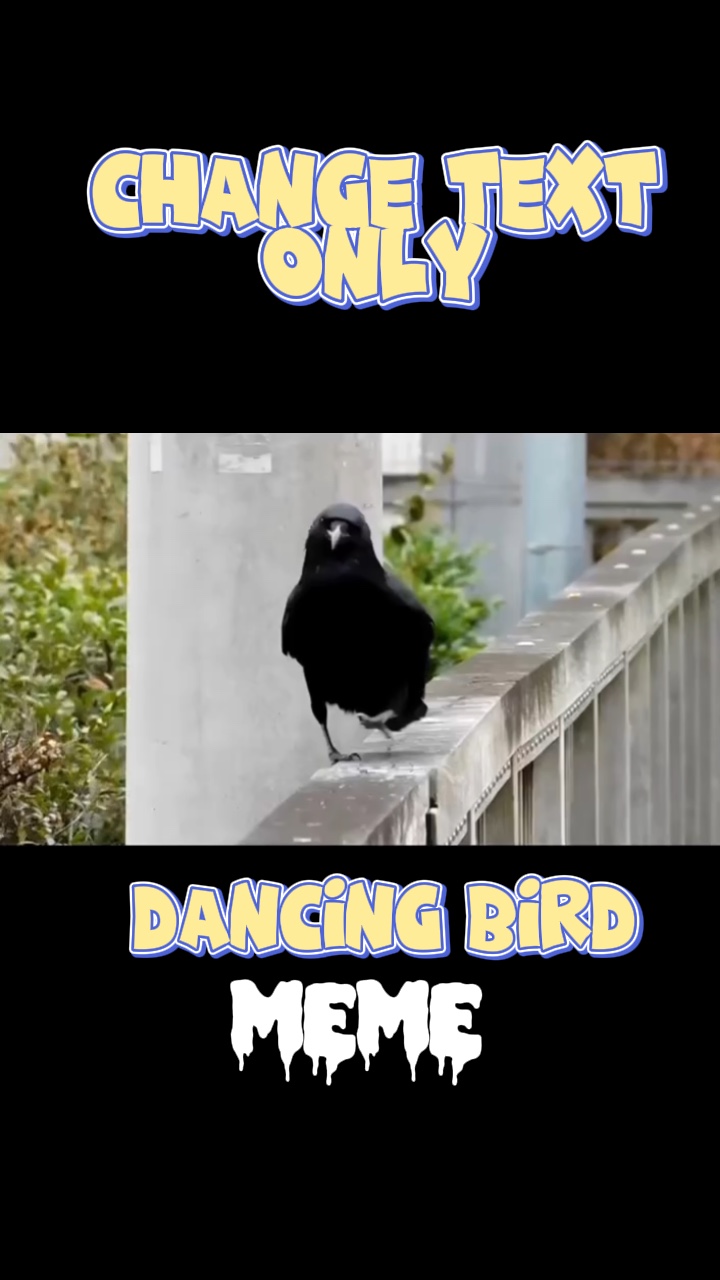 Meme Dancing Bird