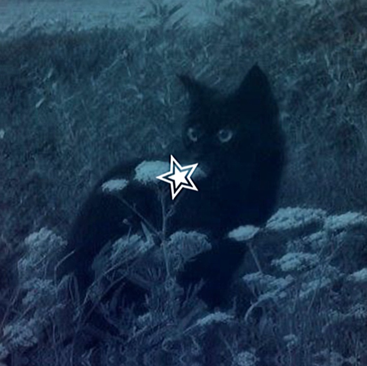 GATOS>: 3