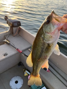 Fishing 🎣