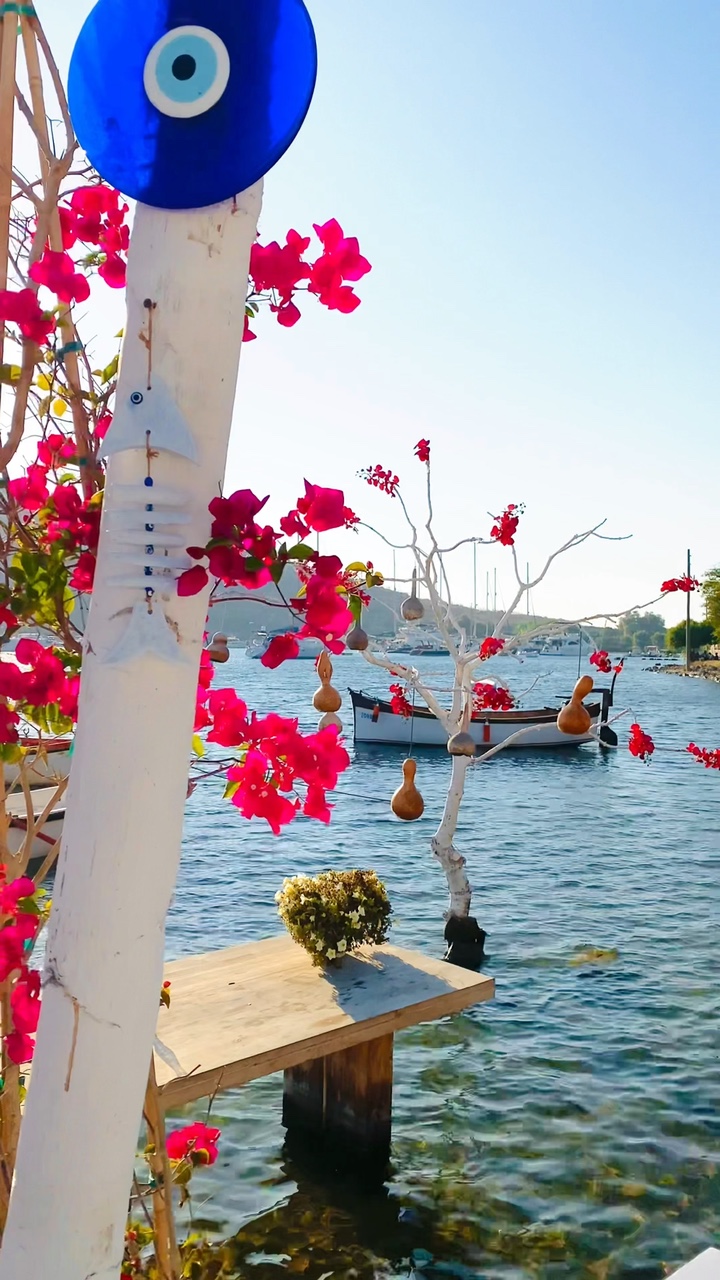 Travel Destination 