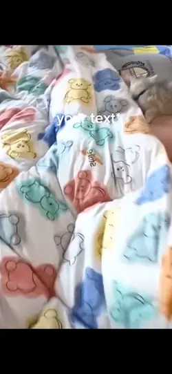 Cute kittie