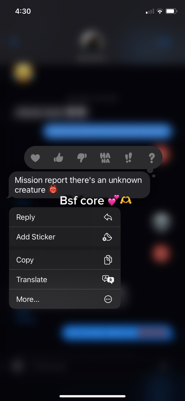 Bsf core