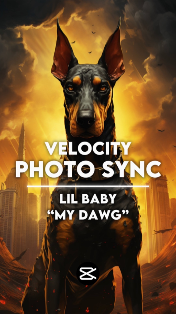 Edit Your Dog 🐶 