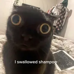 I swallowed shampoo😔