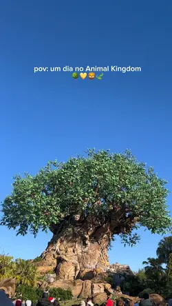 Good vibes 🍃