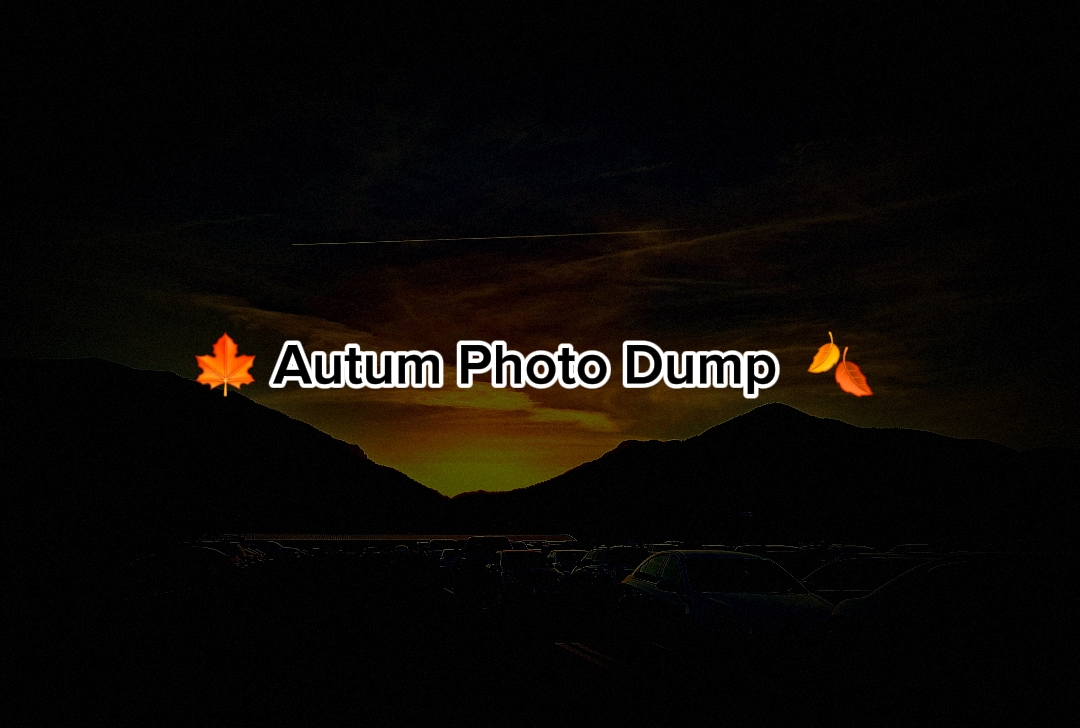Autum Photo Dump 
