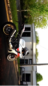 R1 editar