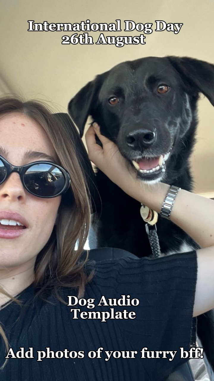 El audio de mi perro 