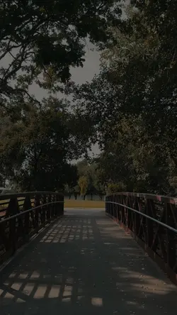 Path in Life  