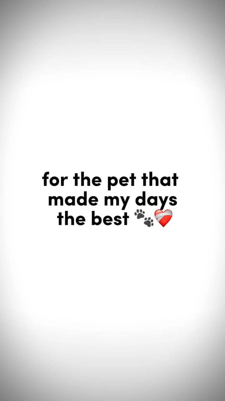 귀엽고 귀엽다 ❤️‍🩹