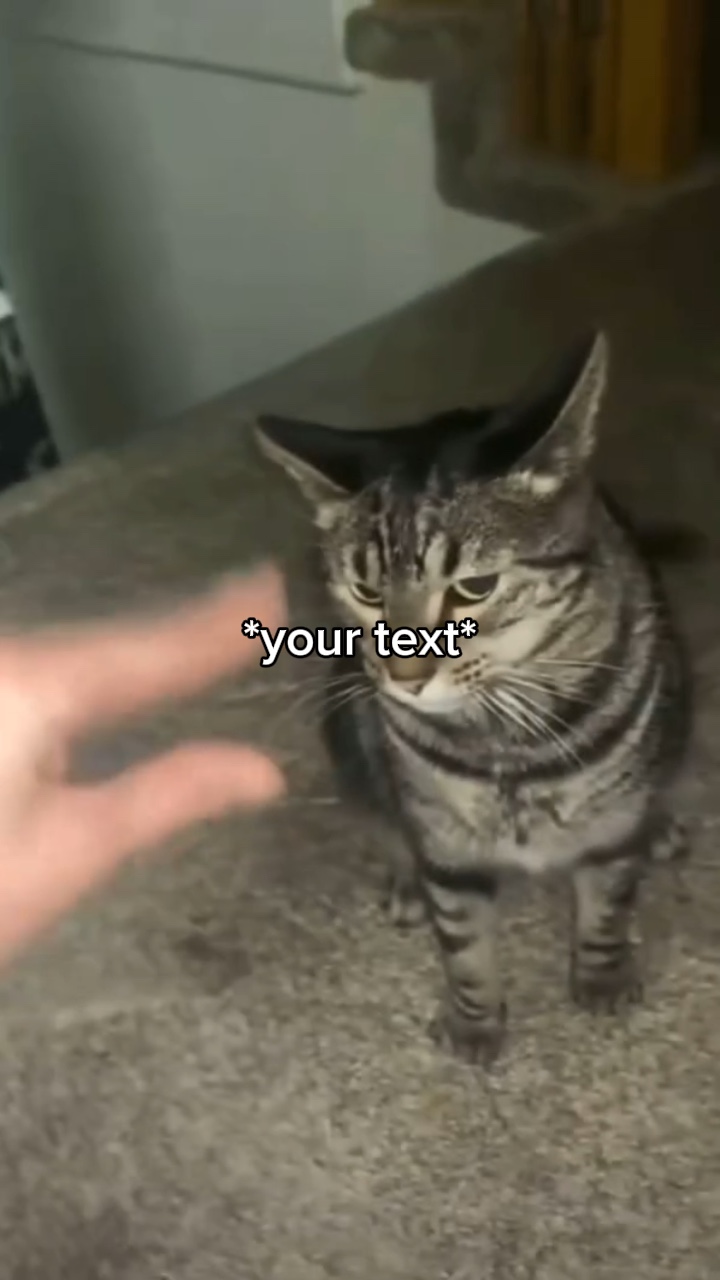 WA WA WA