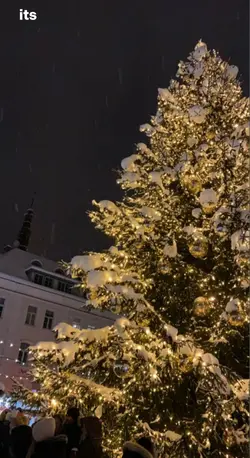Christmas 🎁