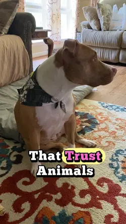 Love Animals ❤️