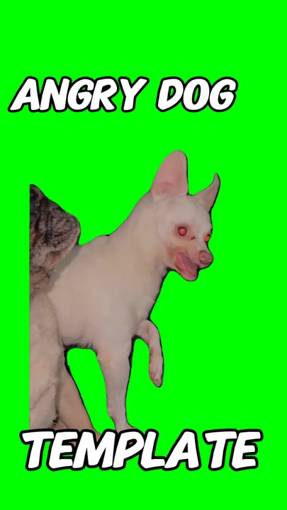 Anjing Marah Meme 