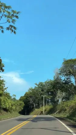 Estrada 