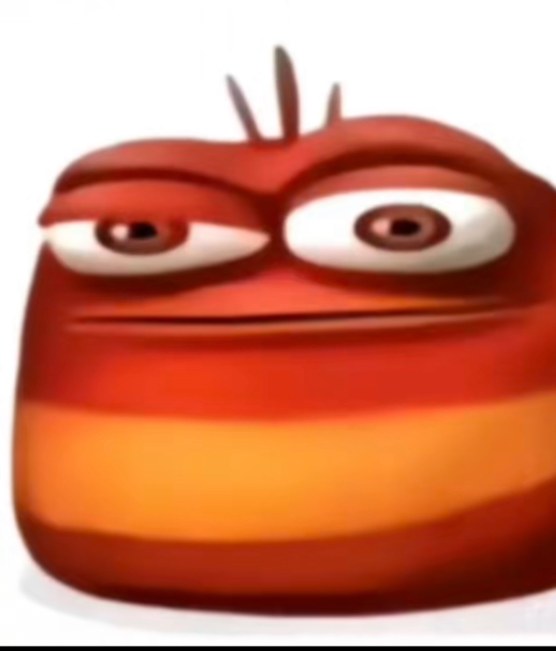 Ay oi oi