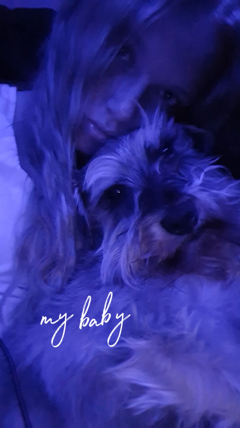 Mi bebé