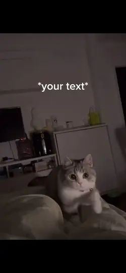 Adorable cat