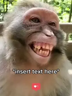 Monkey Meme Laughing