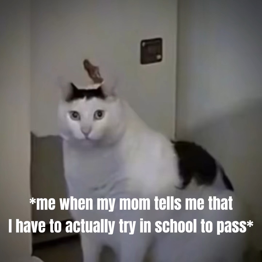 Cat saying “huh” 