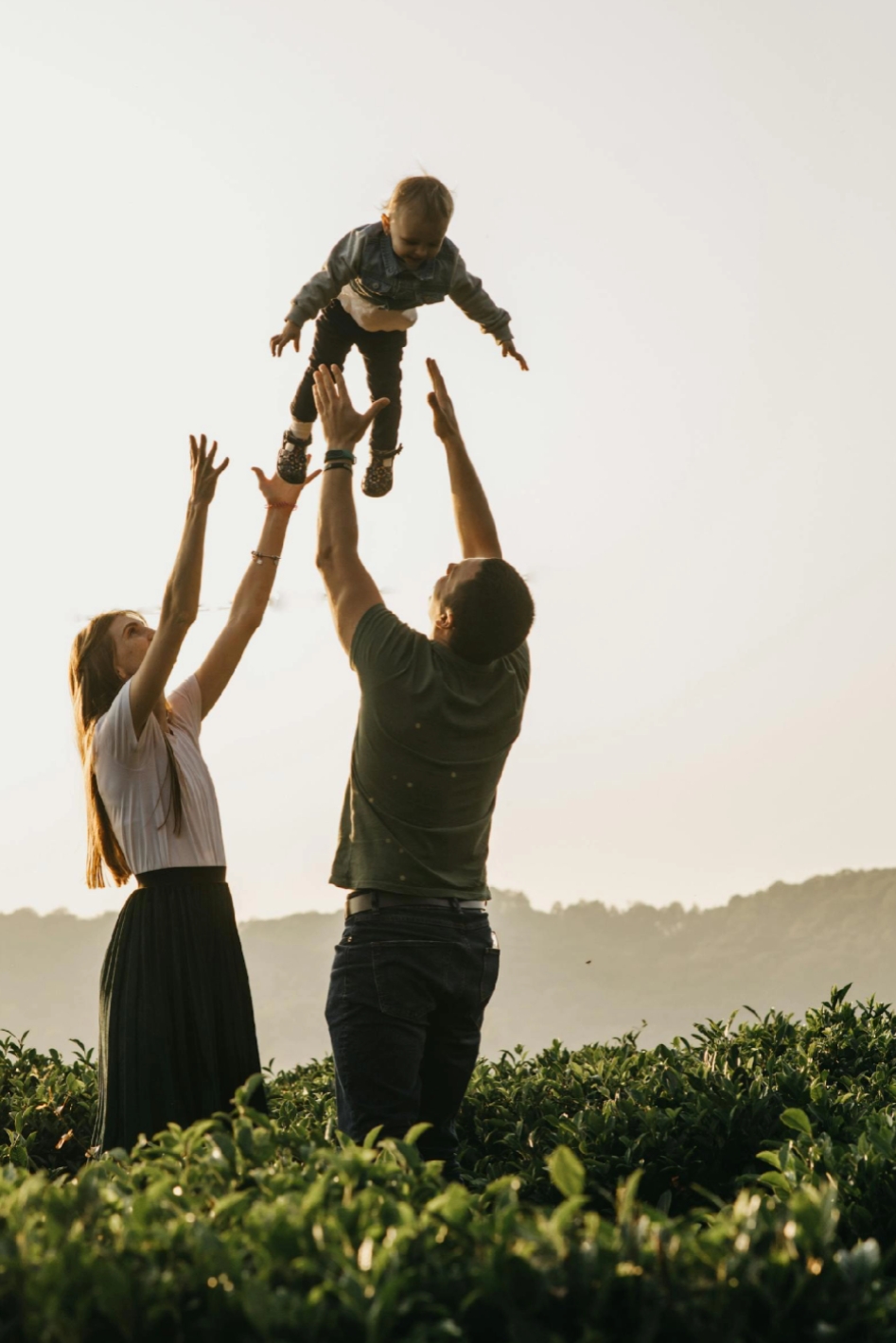 family memories 