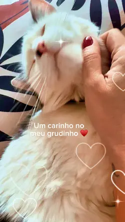 Meu grudinho
