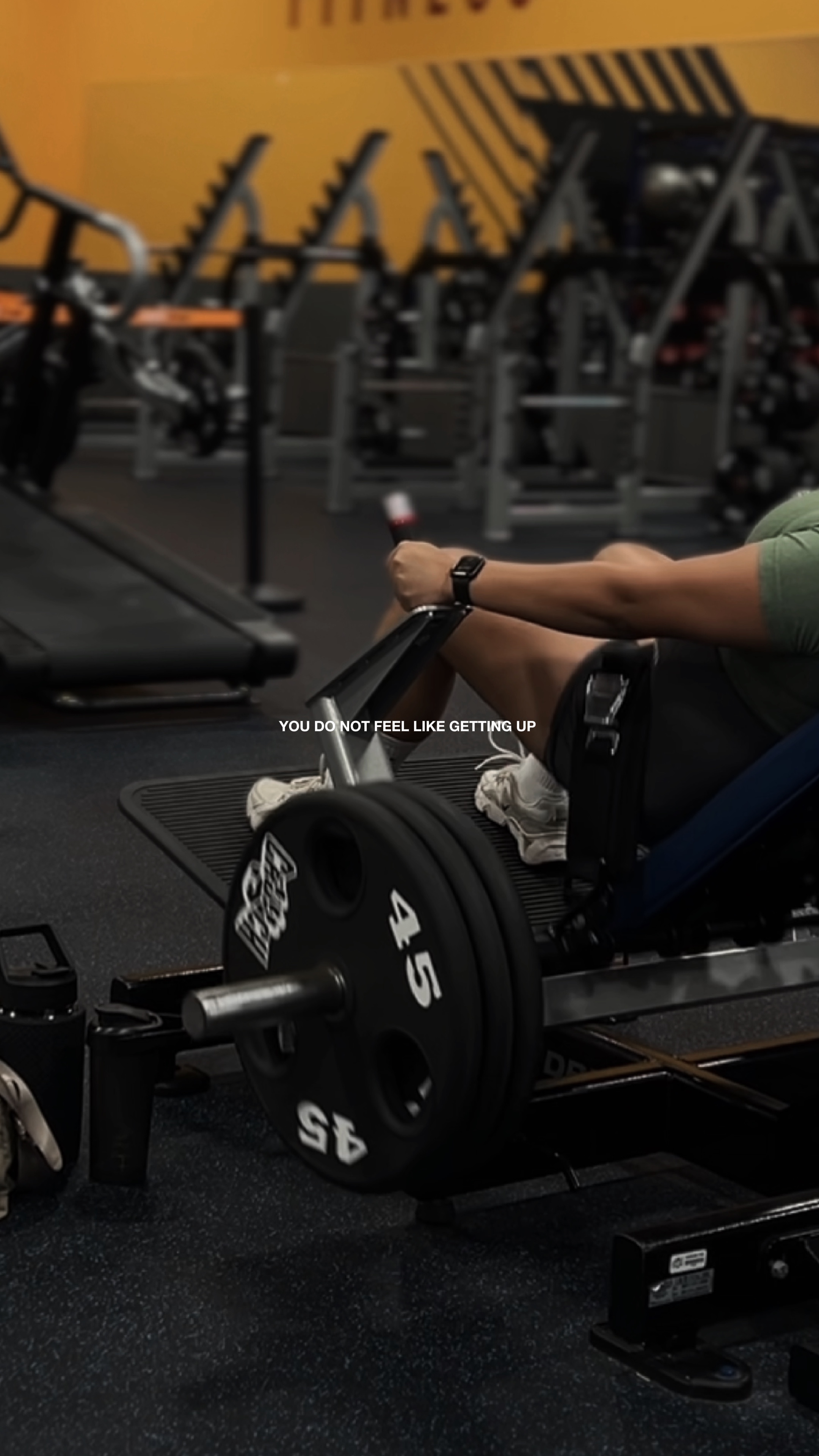 Discipline>>>