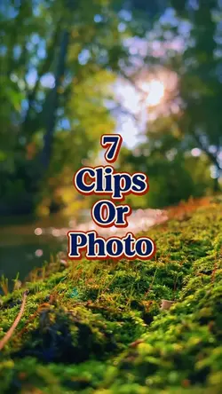 7 clips or photo