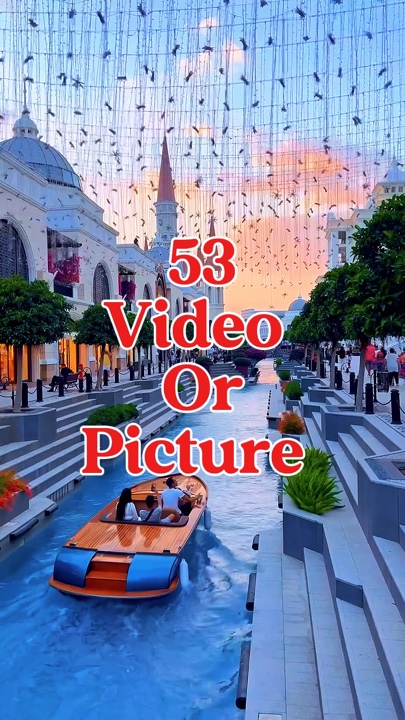 53 video or picture 