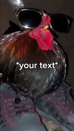 Chicken drip