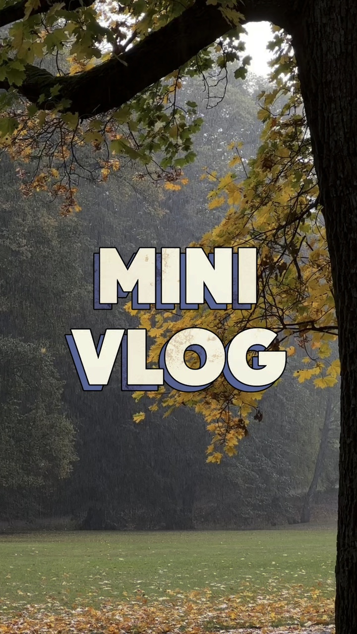 Mini Vlog 