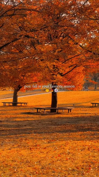 Herbst-Vibes