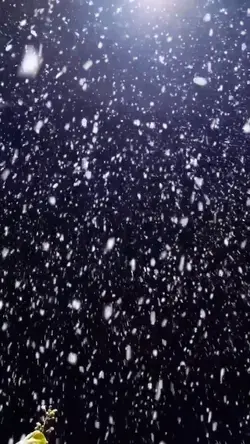 Snow