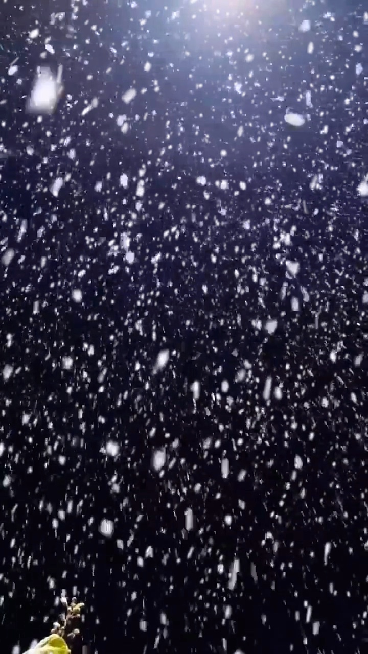 Snow