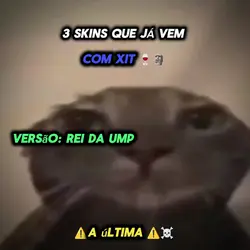 FREE FIRE,SKINS