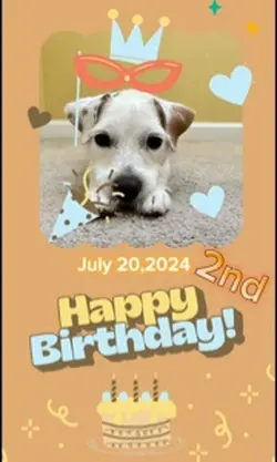 happy birthday
