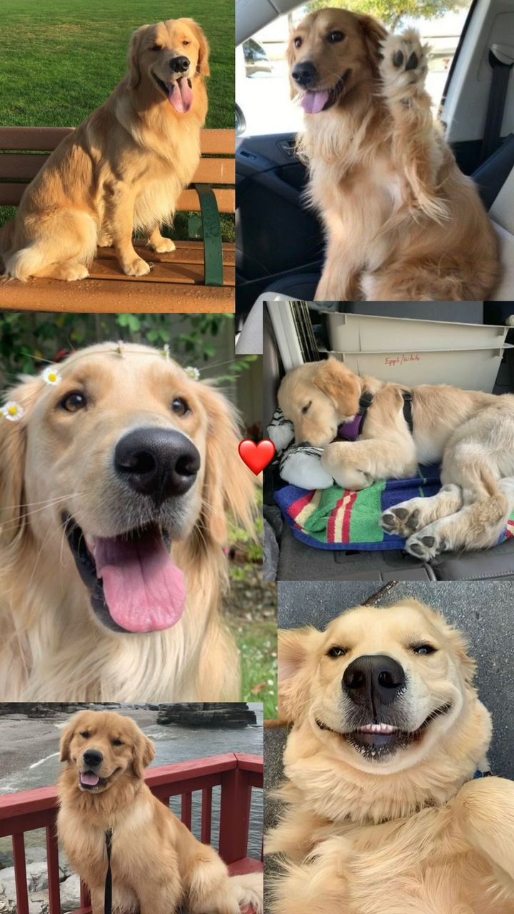 귀엽고 귀엽다 ❤️