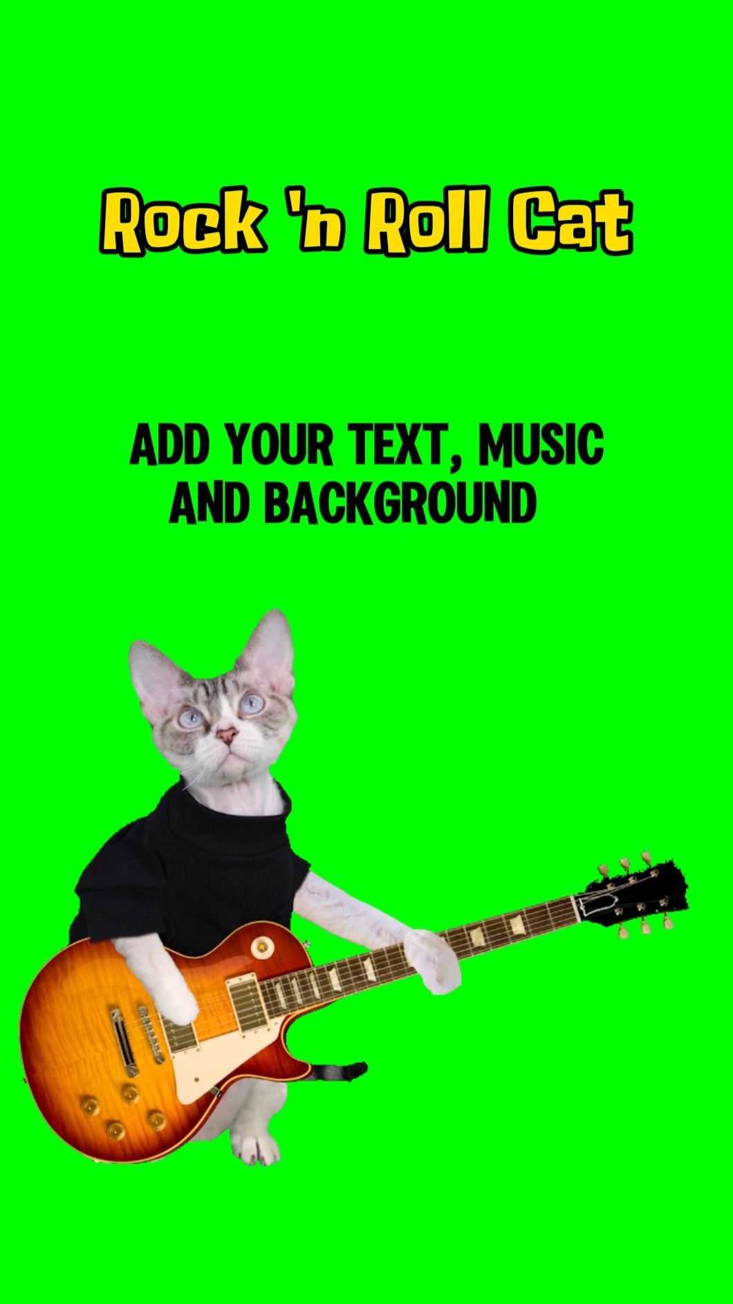 Chat guitare
