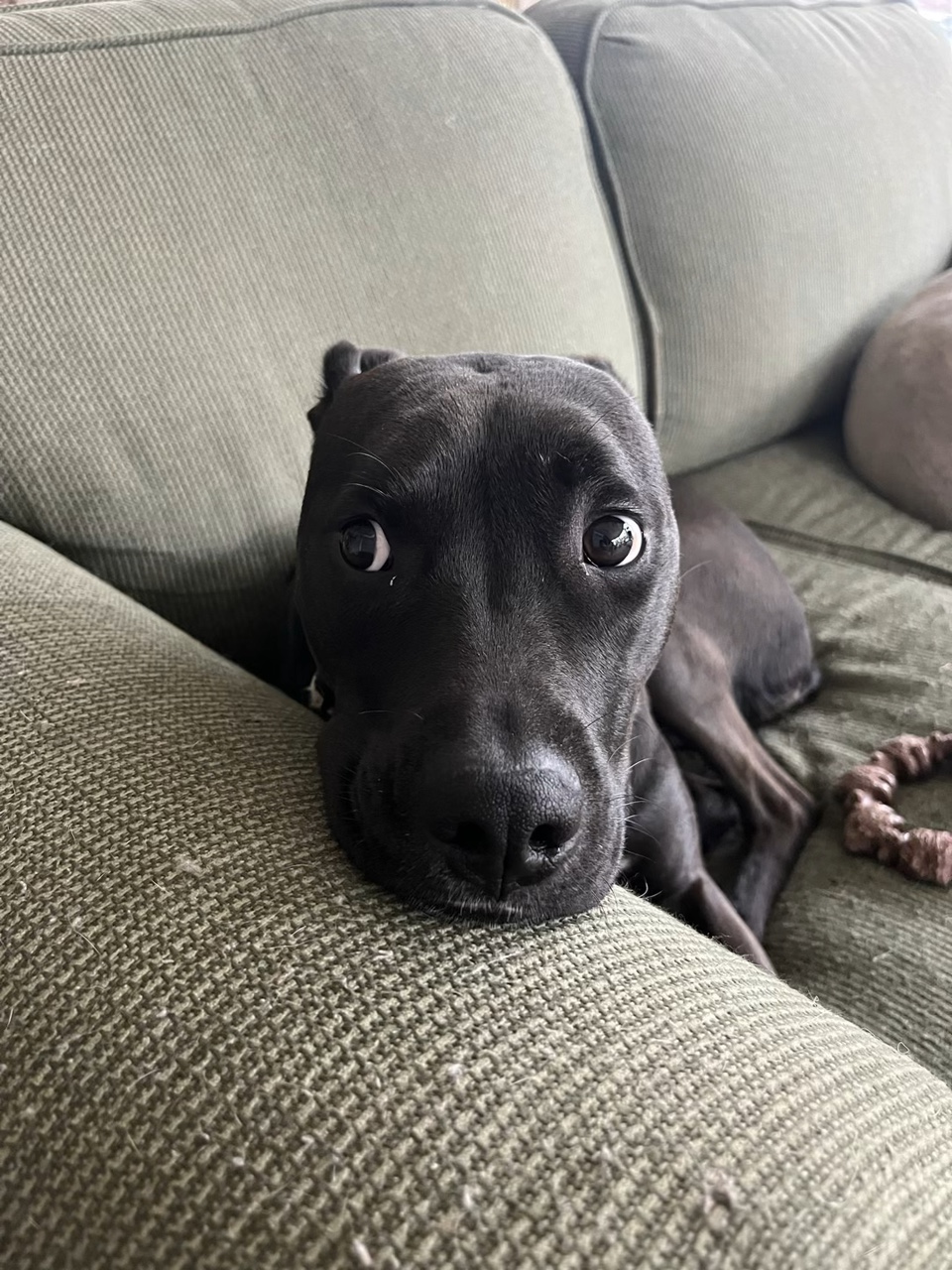 Nova Jean ☺️