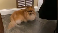 say hi to her