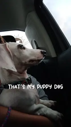 Luv that puppy dog 