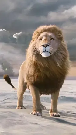 ANIMAL 