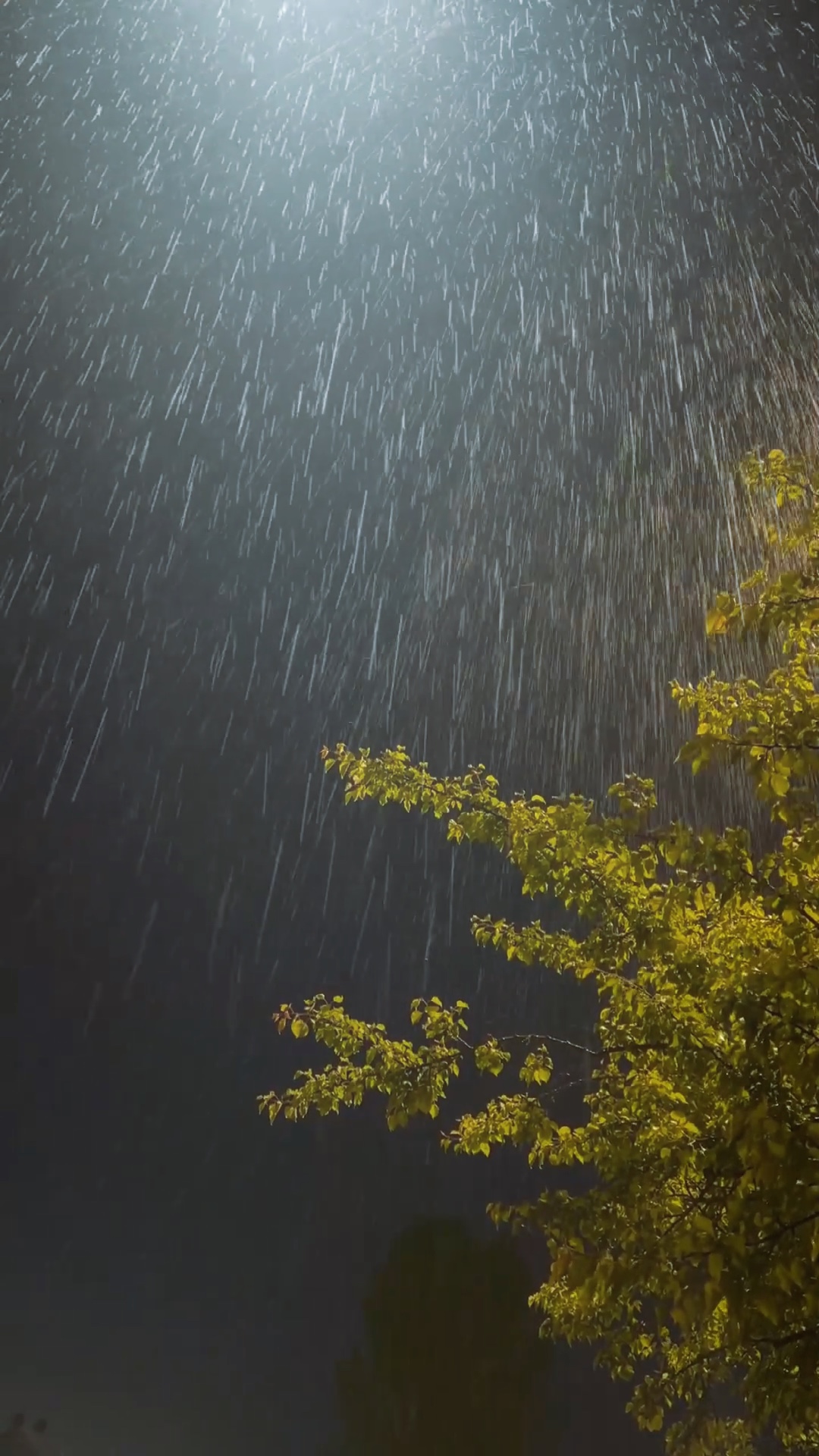 One-click rain