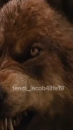 Jacob black
